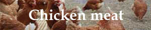 Chicken meat