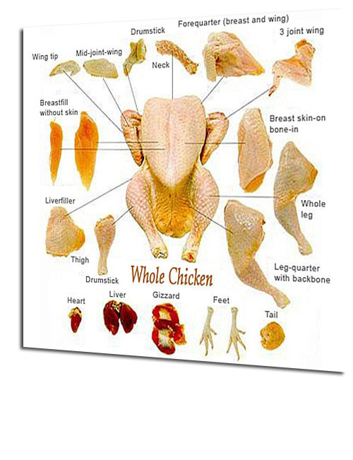 Kippenvlees - Alle kipdelen en productie vlees